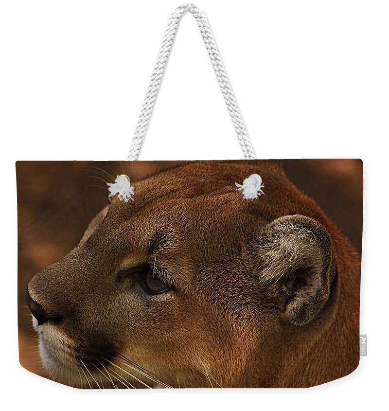 Puma Concolor Weekender Tote Bag featuring the photograph I'm Watching You... by Tammy Schneider