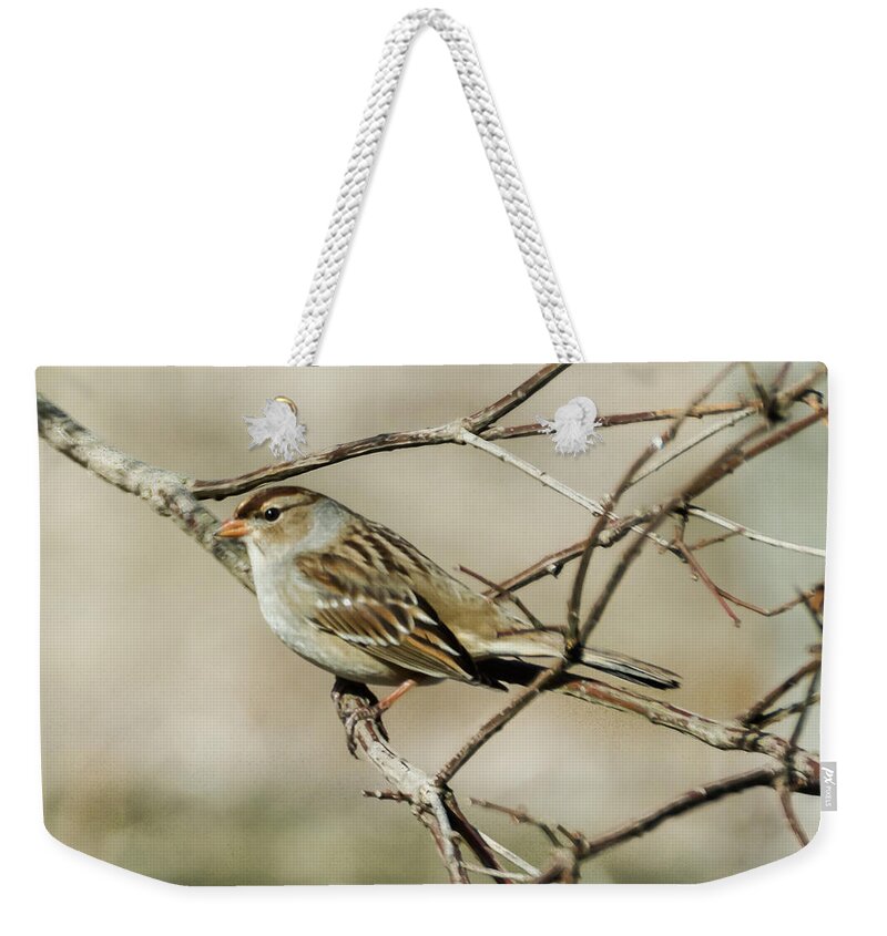 Sparrow Weekender Tote Bag featuring the photograph Immature White-Crowned Sparrow by Holden The Moment