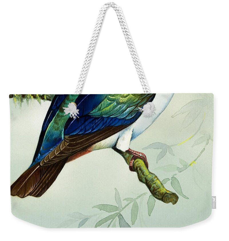 Bird Weekender Tote Bag featuring the painting Imperial Fruit Pigeon by Bert Illoss