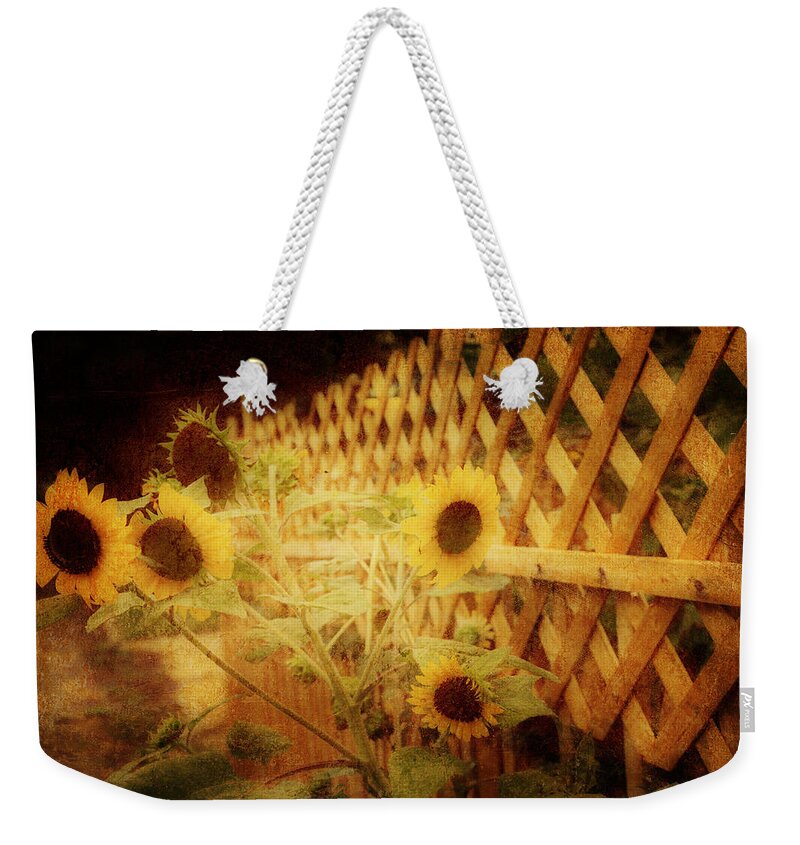 Sunflowers Weekender Tote Bag featuring the photograph Sunflowers and Lattice by Toni Hopper