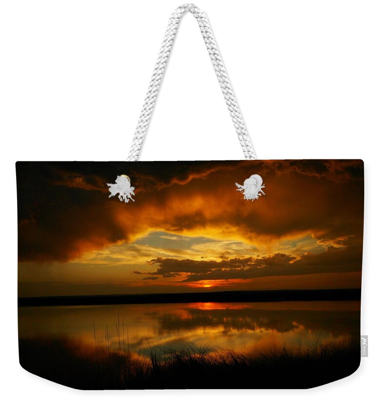 Reflections Weekender Tote Bag featuring the photograph In All His Glory by Jeff Swan
