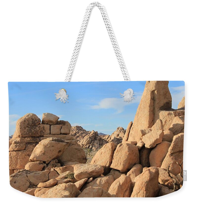 Joshua Tree National Park Weekender Tote Bag featuring the photograph In Between The Rocks by Amy Gallagher