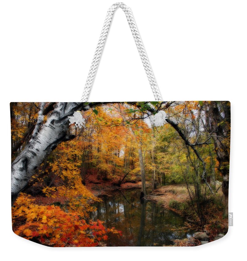 Autumn Weekender Tote Bag featuring the photograph In Dreams Of Autumn by Kay Novy