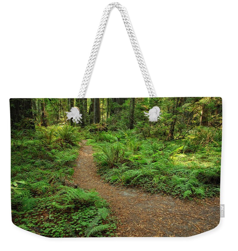 Fern Weekender Tote Bag featuring the photograph In Ferns And Clover by Donna Blackhall