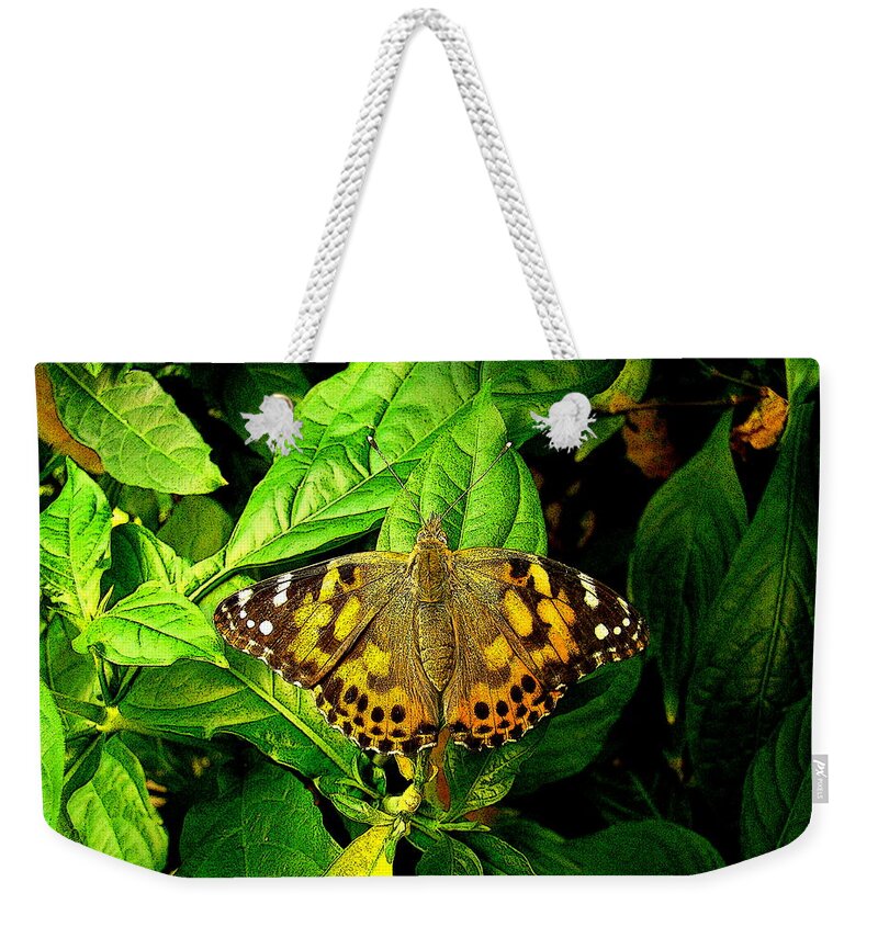 Fine Art Weekender Tote Bag featuring the photograph In My Home by Rodney Lee Williams