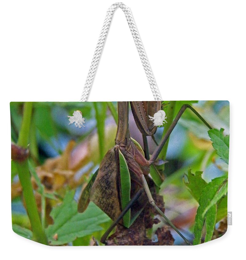 Insects Weekender Tote Bag featuring the photograph In prayer by Jennifer Robin