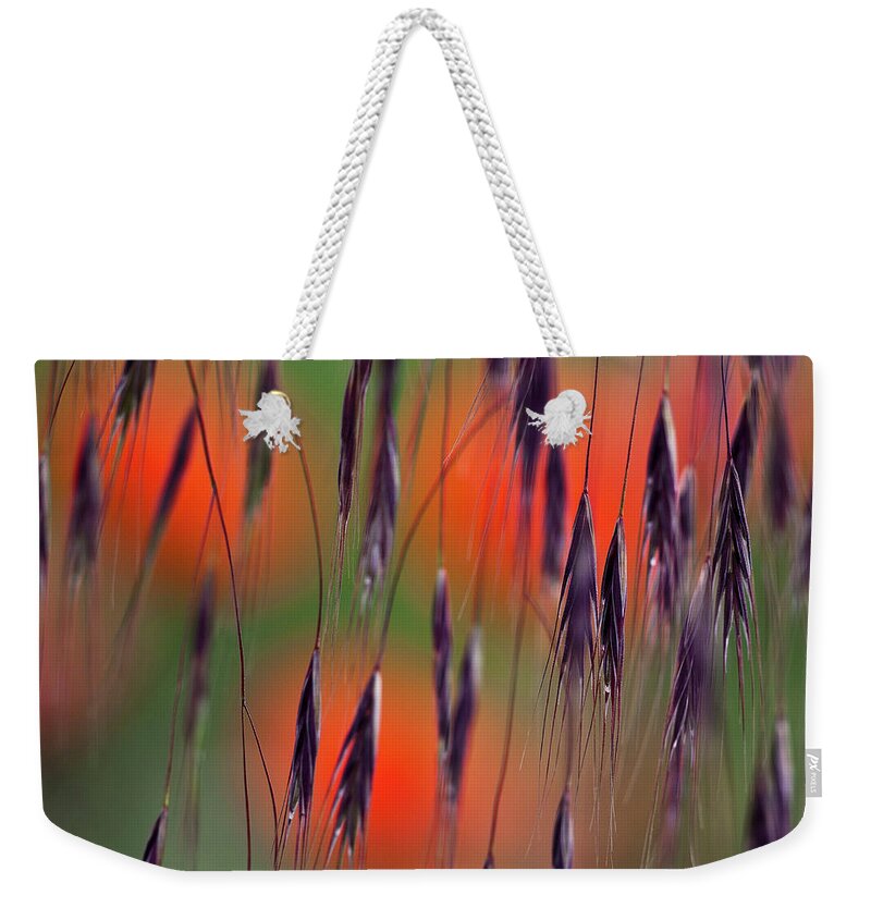 Abstract Weekender Tote Bag featuring the photograph In the Meadow by Heiko Koehrer-Wagner
