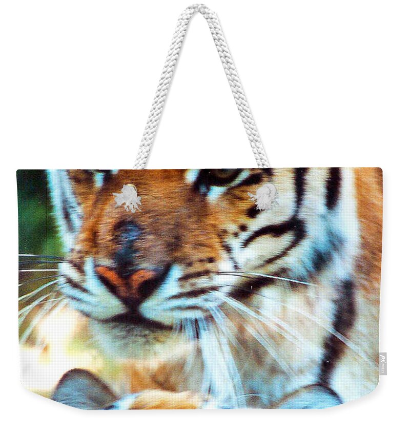 Film Weekender Tote Bag featuring the photograph In the Moment by Jennifer Robin