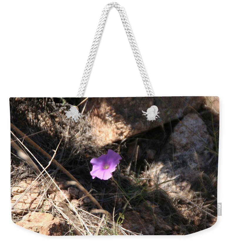 Shadow Weekender Tote Bag featuring the photograph In The Shadow by David S Reynolds