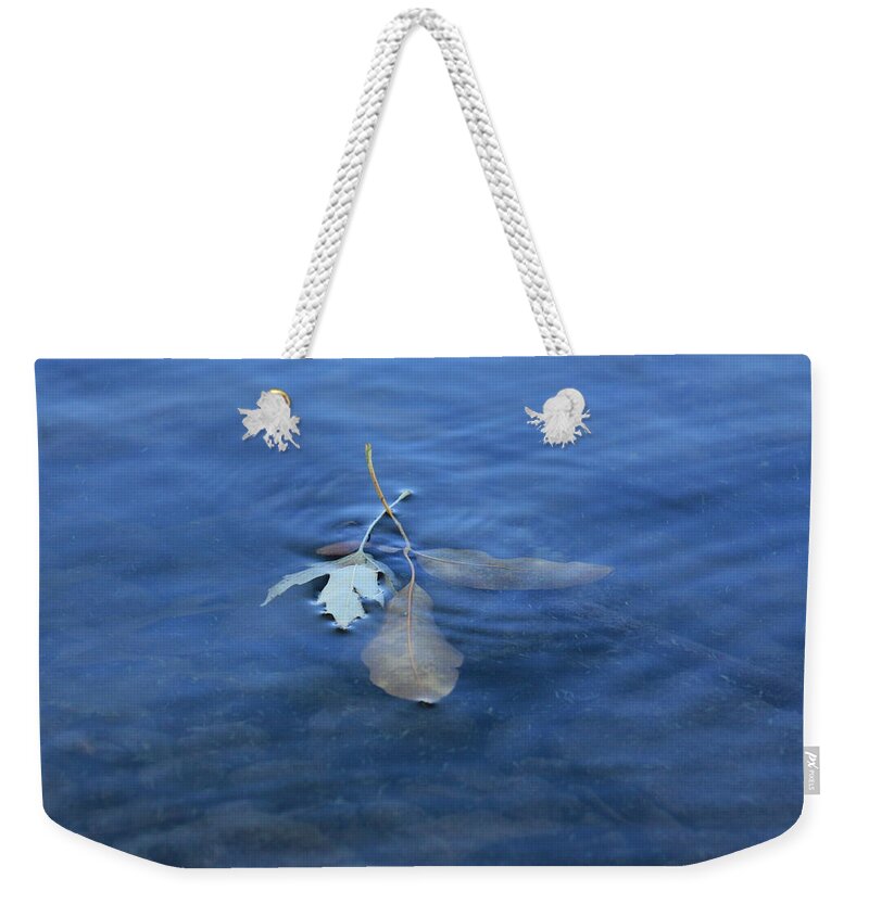 Leaves Weekender Tote Bag featuring the photograph In the Stillness by Viviana Nadowski