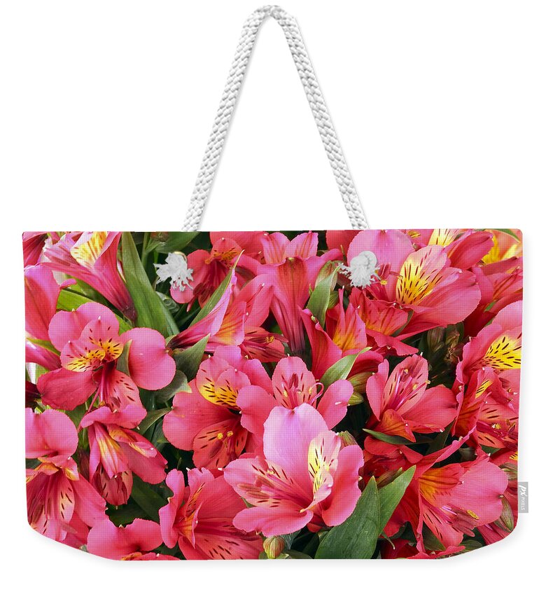 Inca Lily Weekender Tote Bag featuring the photograph Inca Lilies by Kurt Van Wagner