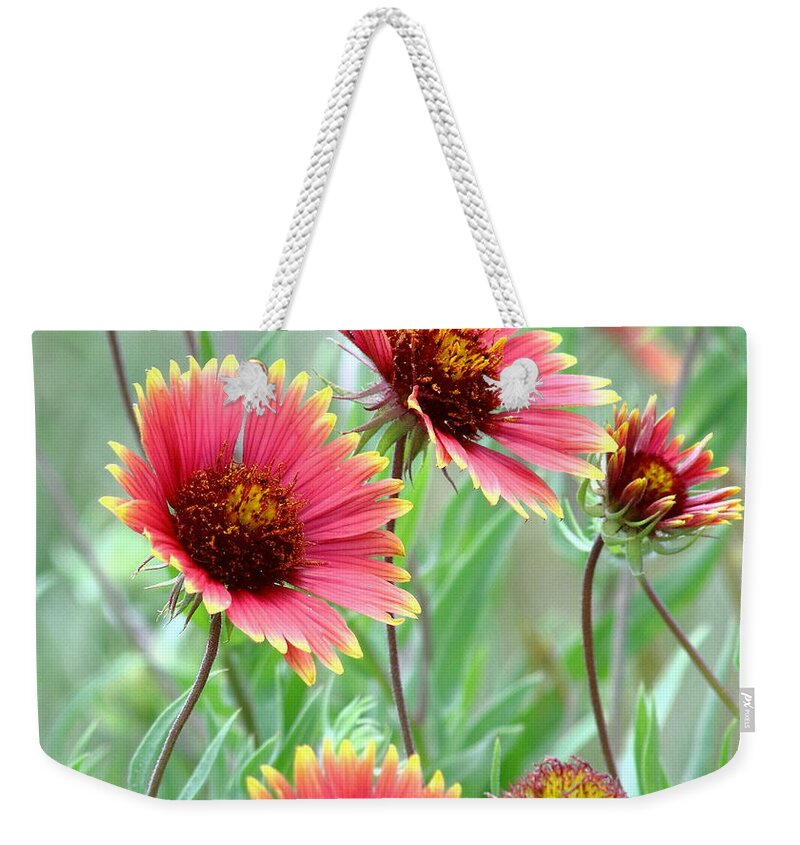 Nature Weekender Tote Bag featuring the photograph Indian Blanket Wildflowers by Robert Frederick