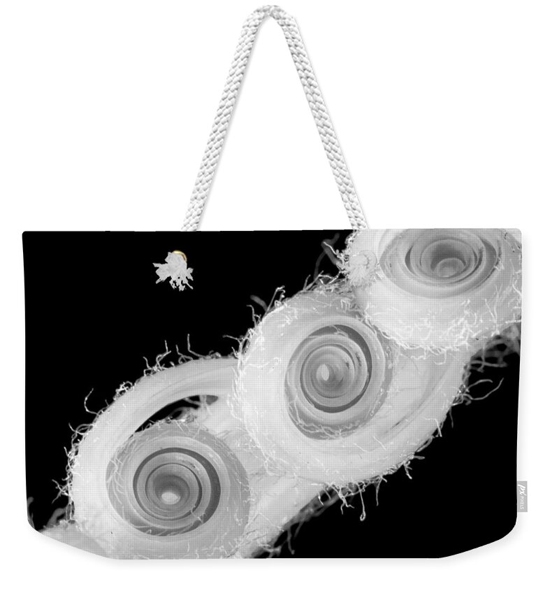 Plant Weekender Tote Bag featuring the photograph Infrared Sago Palm by Patricia Schaefer