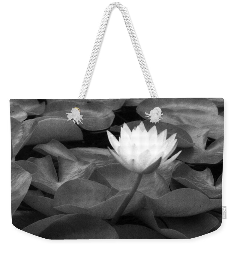 Water Lily Weekender Tote Bag featuring the photograph Infrared - Water Lily 04 by Pamela Critchlow