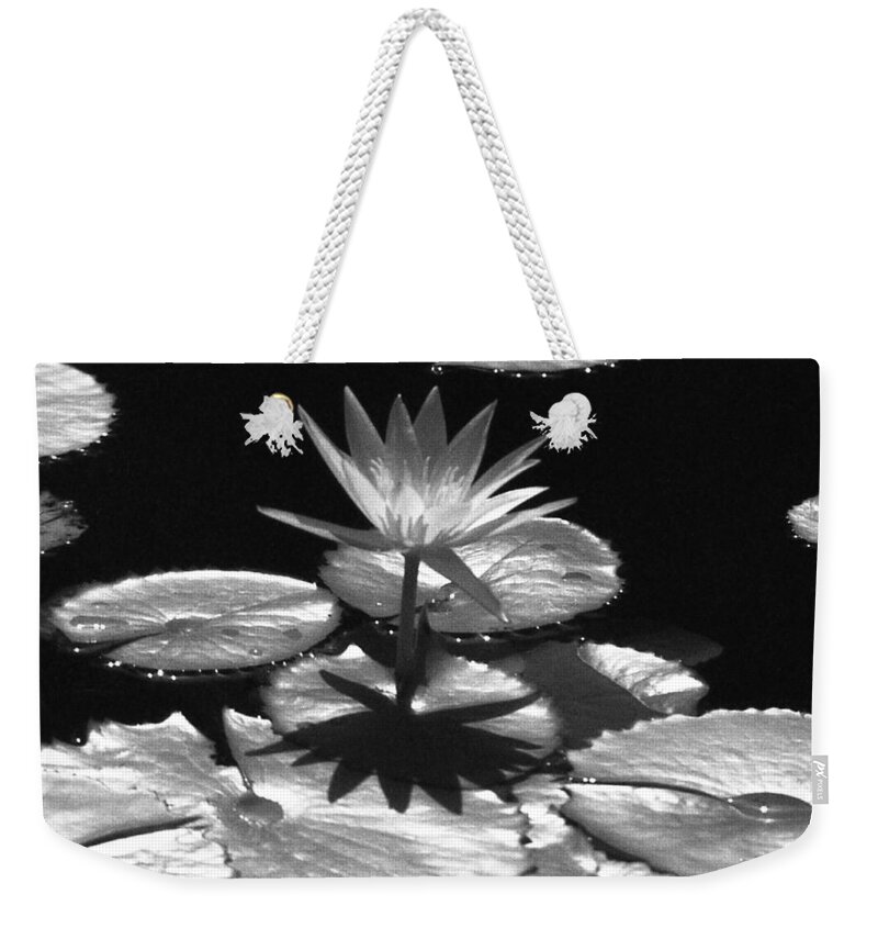 Water Lily Weekender Tote Bag featuring the photograph Infrared - Water Lily by Pamela Critchlow