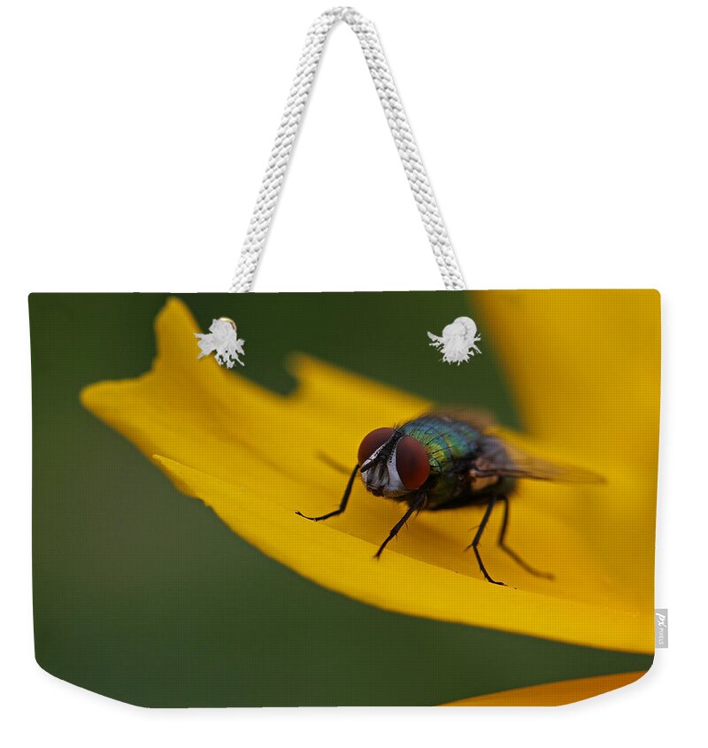 Insect Weekender Tote Bag featuring the photograph Insect by Juergen Roth
