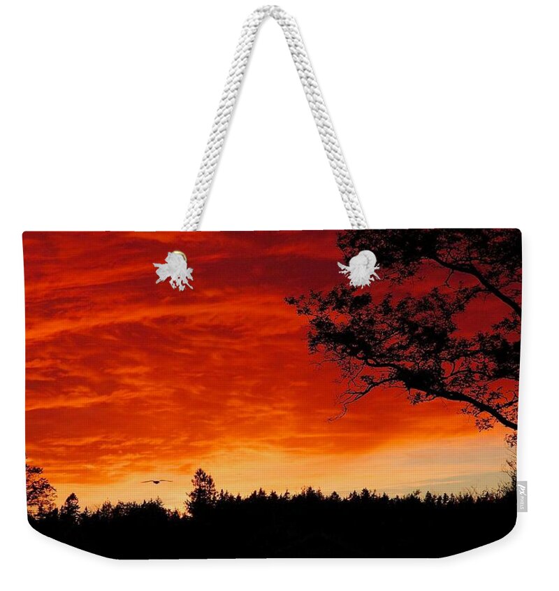 Sunset Weekender Tote Bag featuring the photograph Into the Sunset by Stuart Litoff