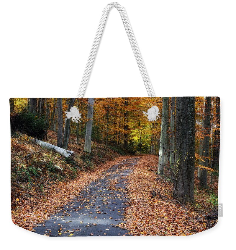 Autumn Weekender Tote Bag featuring the photograph Into The Woods by Geoff Crego
