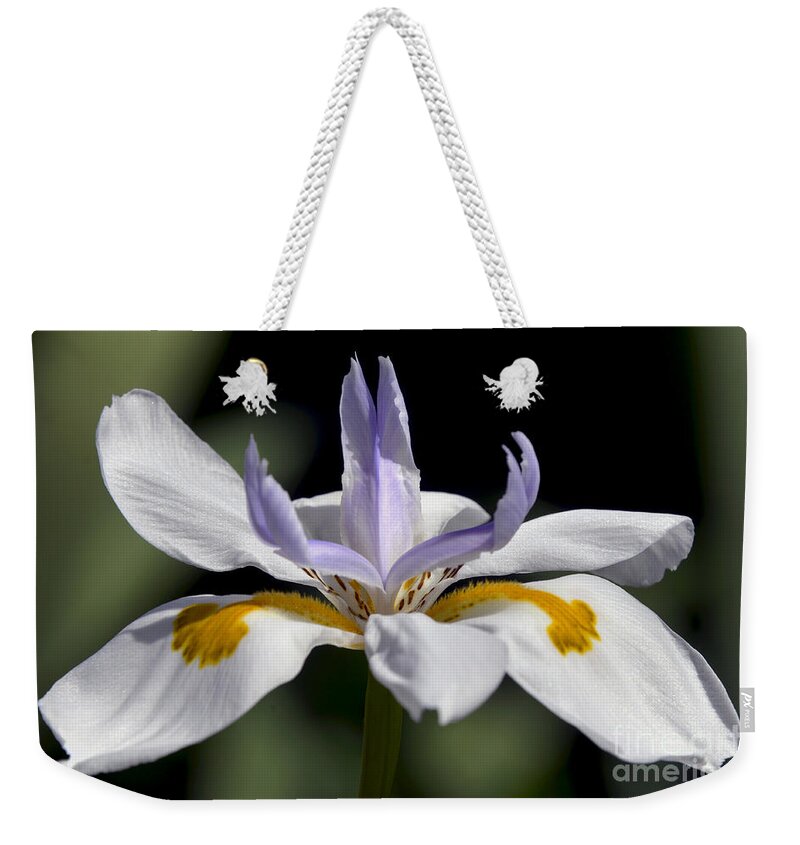 Spring Weekender Tote Bag featuring the photograph Iris 8237 by Terri Winkler