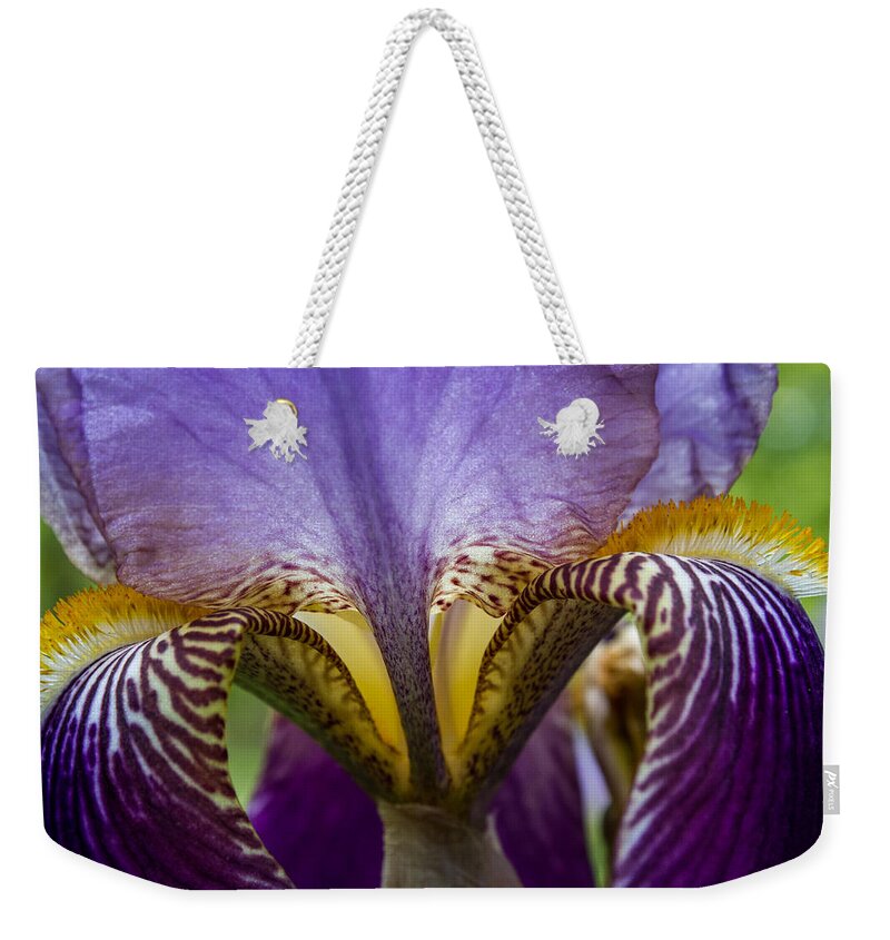 Flowers Weekender Tote Bag featuring the photograph Iris Abstract by Glenn DiPaola