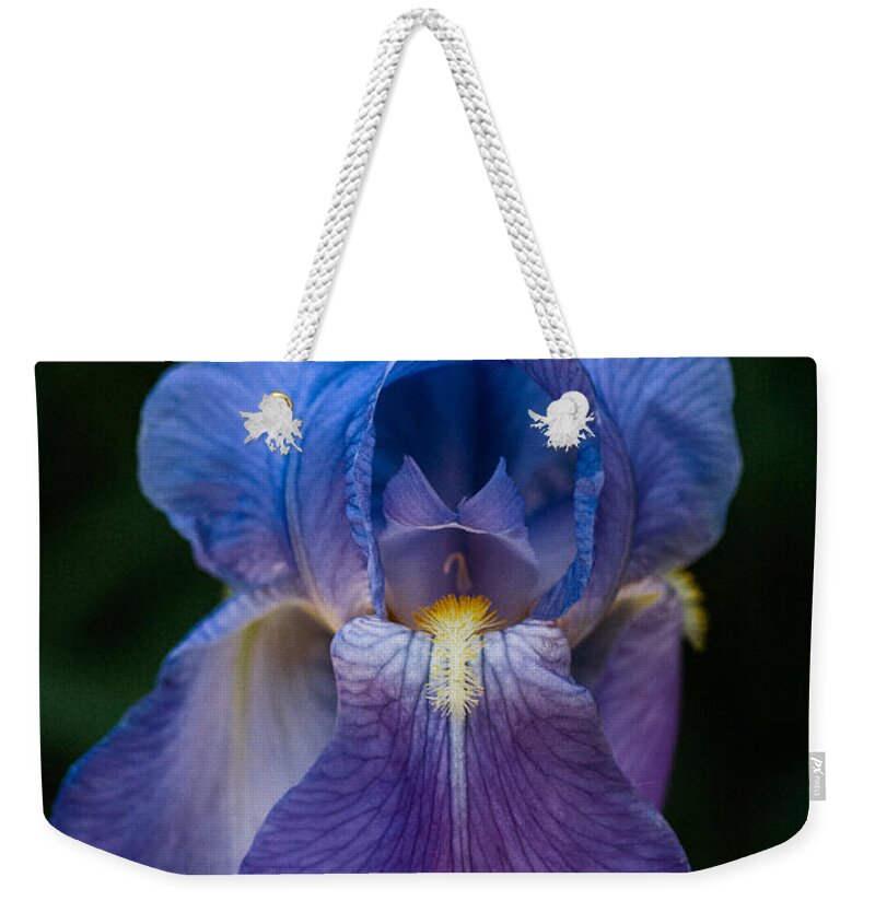 Iris Weekender Tote Bag featuring the photograph Iris by George Buxbaum