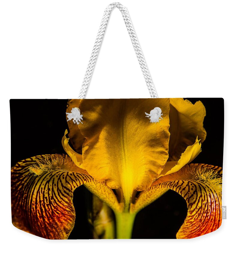 Iris Weekender Tote Bag featuring the photograph Iris in the Dark by Rick Bartrand