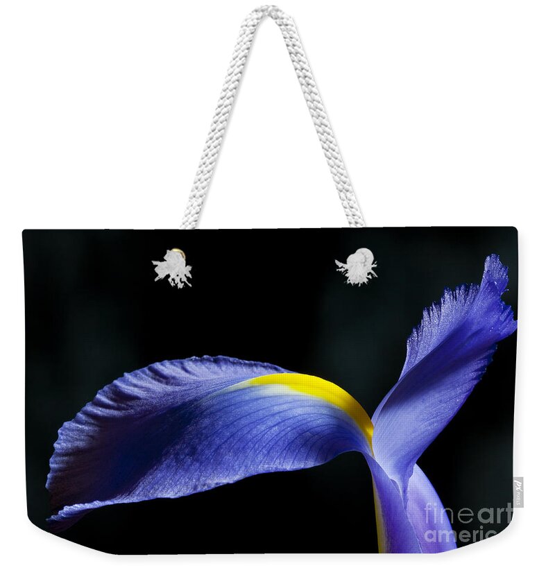 Iris Weekender Tote Bag featuring the photograph Iris Petal by Patty Colabuono