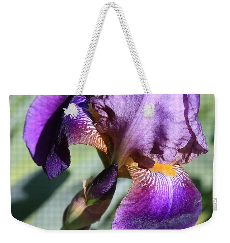 Iris Weekender Tote Bag featuring the photograph Iris Sunshine by Carol Groenen