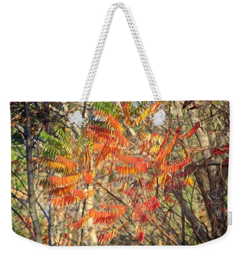 Memorex Weekender Tote Bag featuring the photograph Is it Live or is it Memorex by Frozen in Time Fine Art Photography