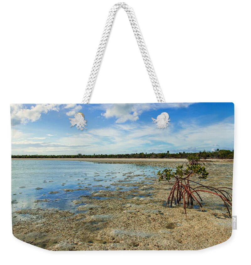 Caribbean Weekender Tote Bag featuring the photograph Isolated by Chad Dutson