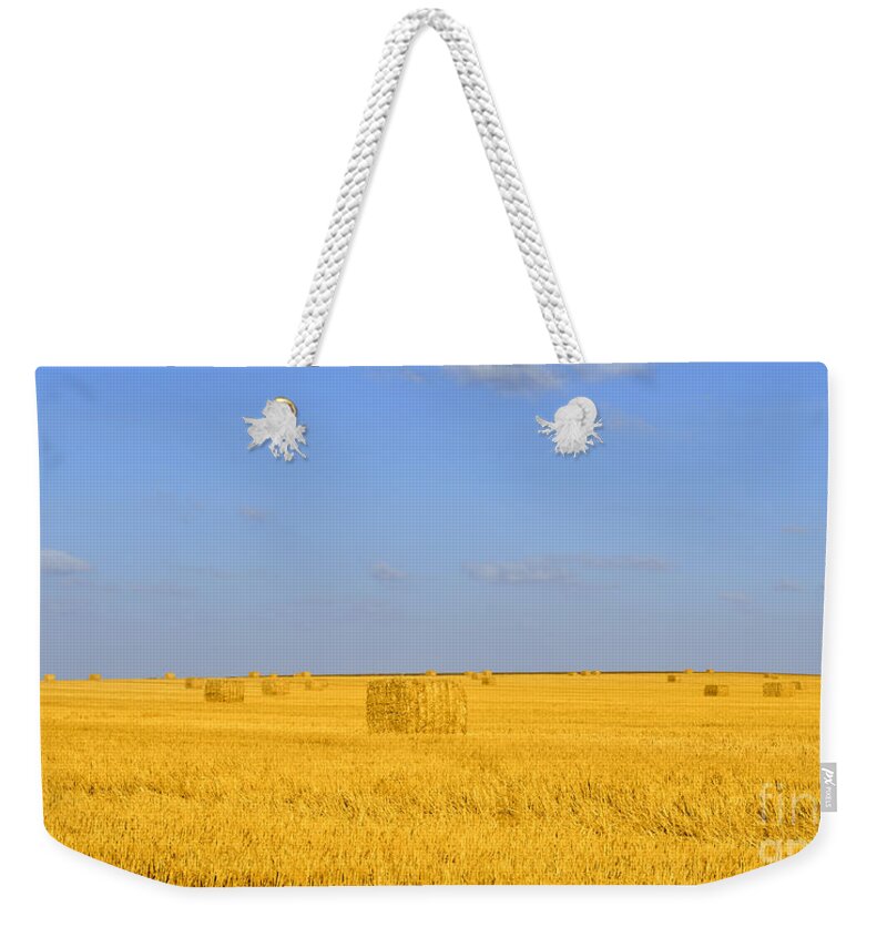 Straw Weekender Tote Bag featuring the photograph Israel Negev HaBesor landscape by Ezra Zahor