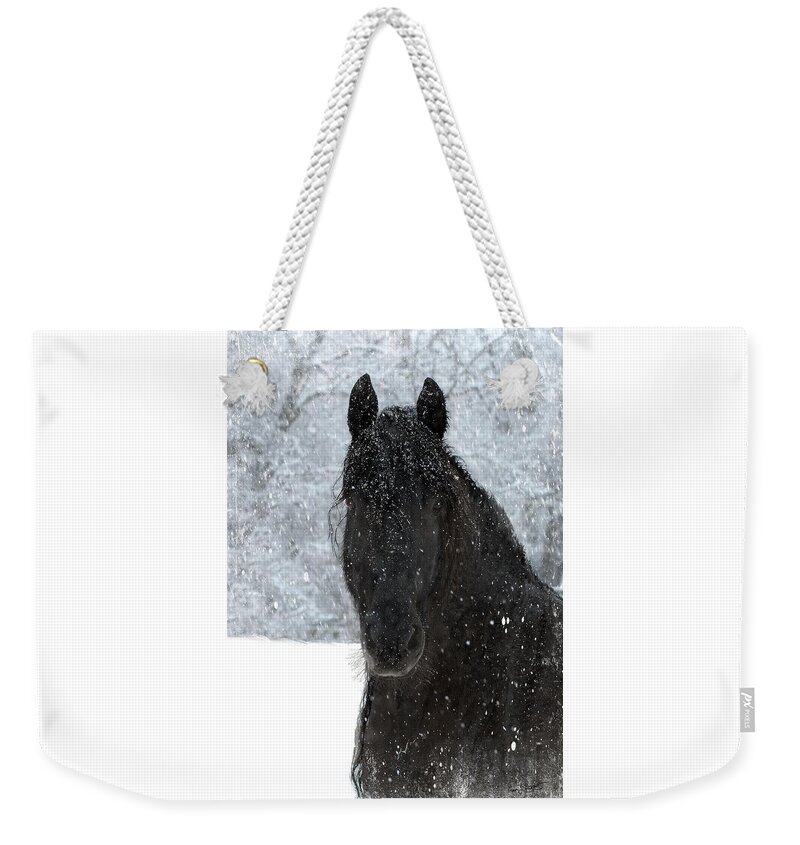 Friesian Horses Weekender Tote Bag featuring the photograph It's Friesian out here by Fran J Scott