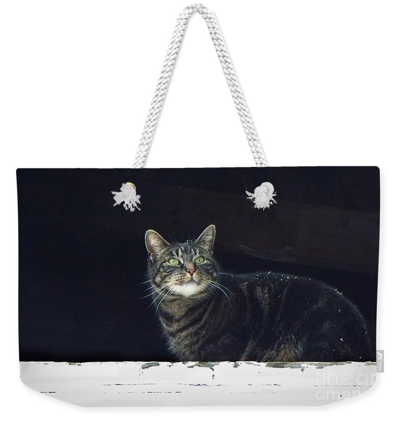 It's Snowing -- Looking Out The Barn Window Weekender Tote Bag featuring the photograph It's Snowing -- Looking Out the Barn Window by Joy Nichols