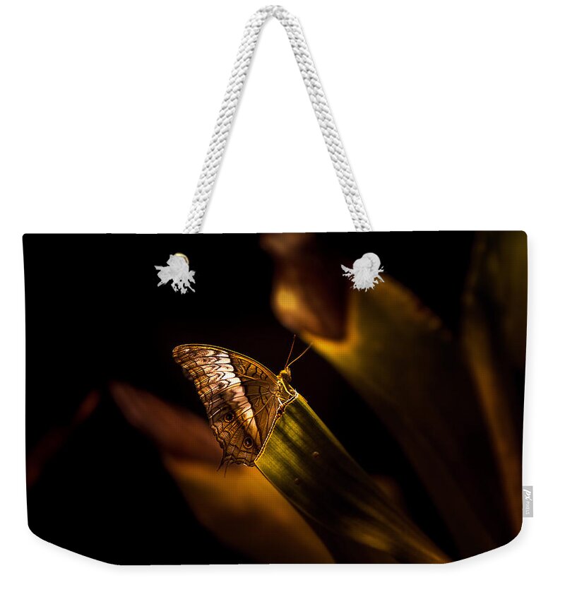 `nature Weekender Tote Bag featuring the photograph Its the simple Things By Denise Dube by Denise Dube