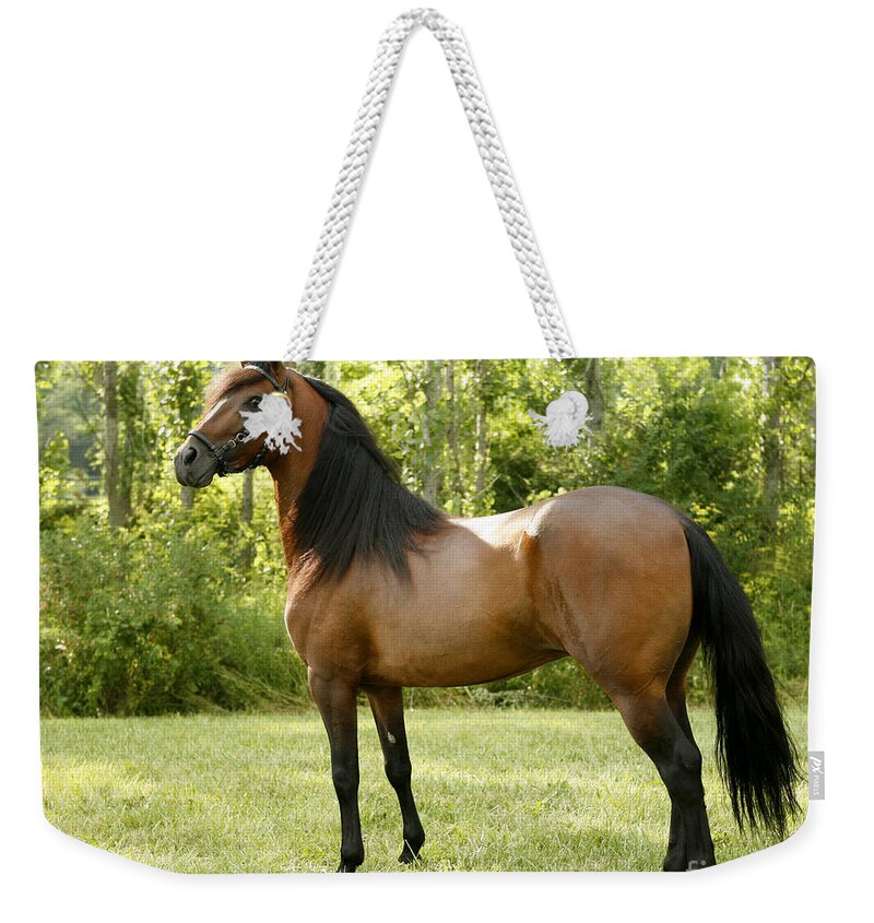 Horse Weekender Tote Bag featuring the photograph I've Got My Eye on You by Carol Lynn Coronios