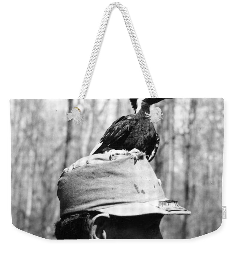 Bird Weekender Tote Bag featuring the photograph Ivory-billed Woodpecker Nestling by James T. Tanner