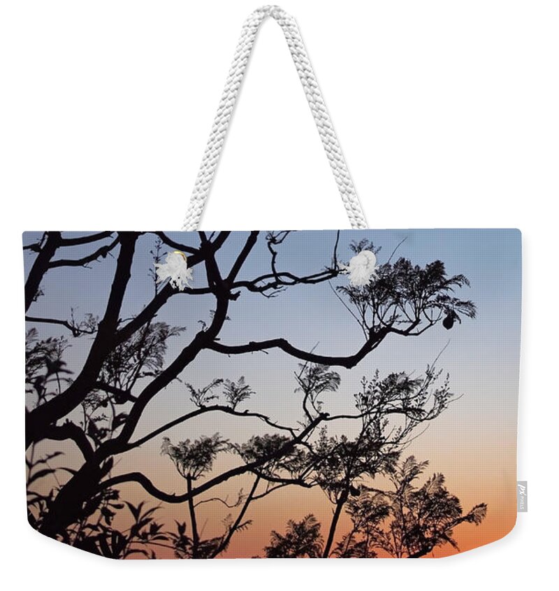 Jacarandas Weekender Tote Bag featuring the photograph Jacaranda Sunset by Rona Black