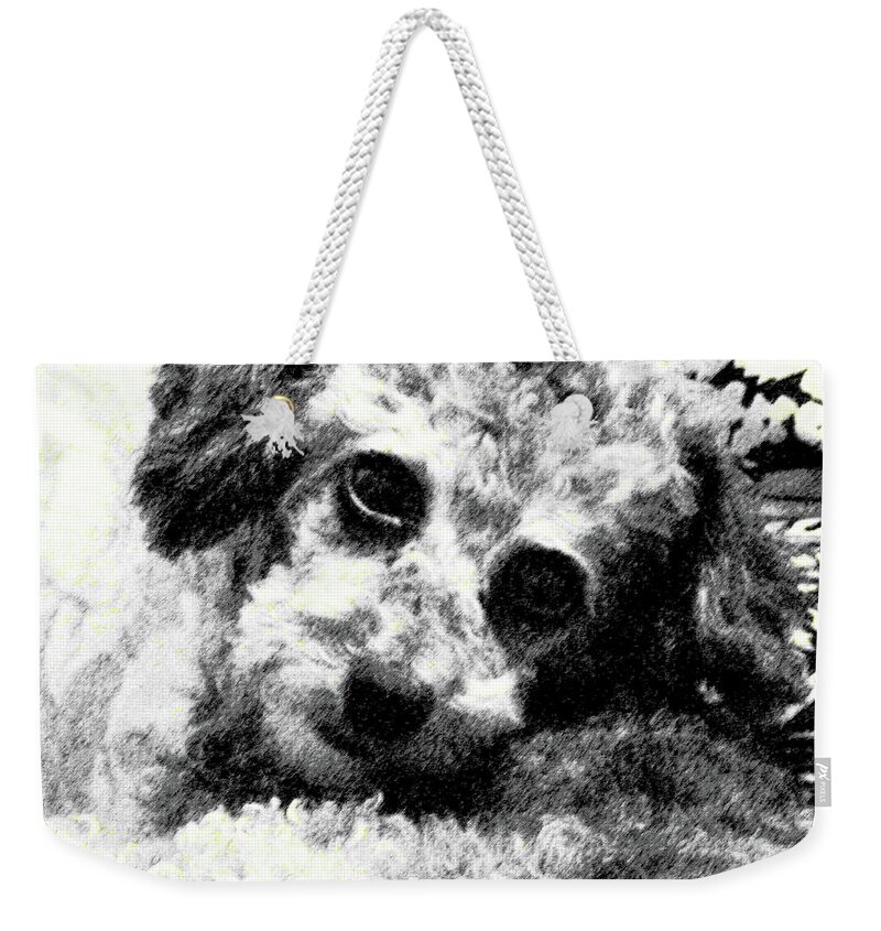 Abstract Weekender Tote Bag featuring the photograph Jack by Lenore Senior