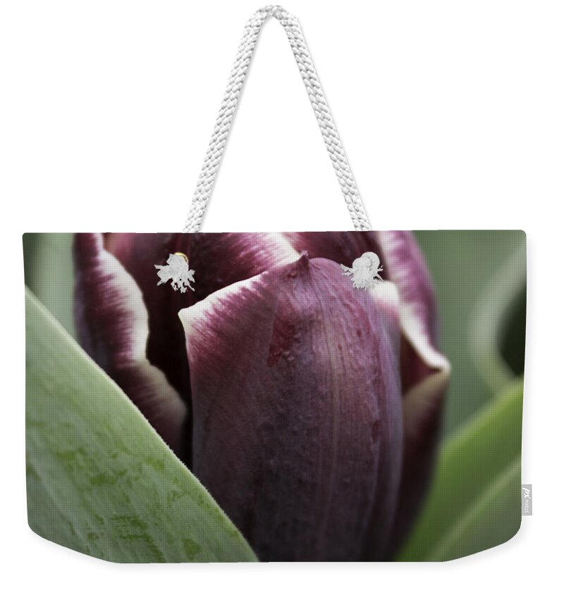 Skompski Weekender Tote Bag featuring the photograph Jackpot Tulip by Joseph Skompski