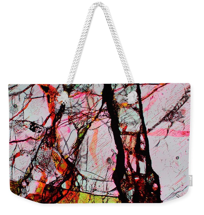 Meteorites Weekender Tote Bag featuring the photograph Jacob's Ladder by Hodges Jeffery