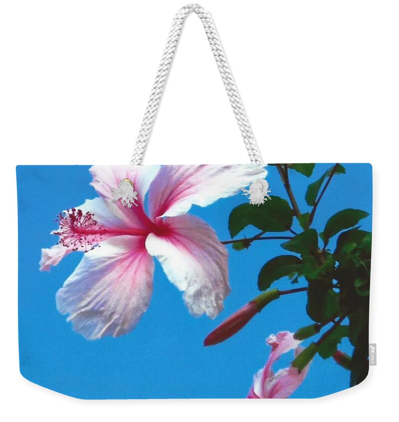 Hombre Pink Hibiscus Flower Weekender Tote Bag featuring the photograph Jamaicain Double Pink Hibiscus by Jane Butera Borgardt