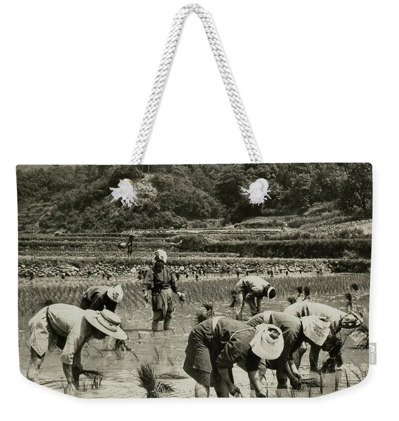 1920 Weekender Tote Bag featuring the photograph Japan Agriculture, C1920 by Granger