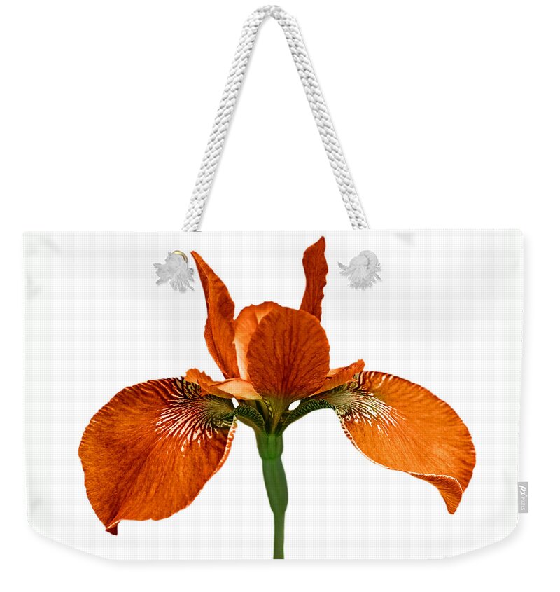 Iris Weekender Tote Bag featuring the photograph Japanese Iris Orange White Three by Jennie Marie Schell
