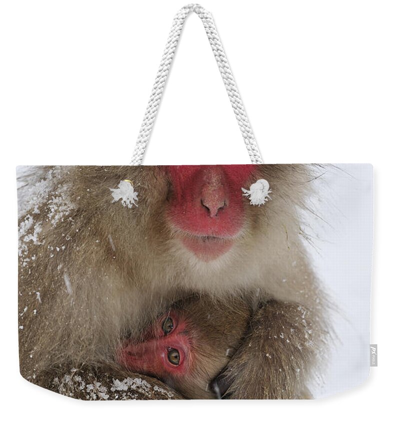 Thomas Marent Weekender Tote Bag featuring the photograph Japanese Macaque Warming Baby by Thomas Marent