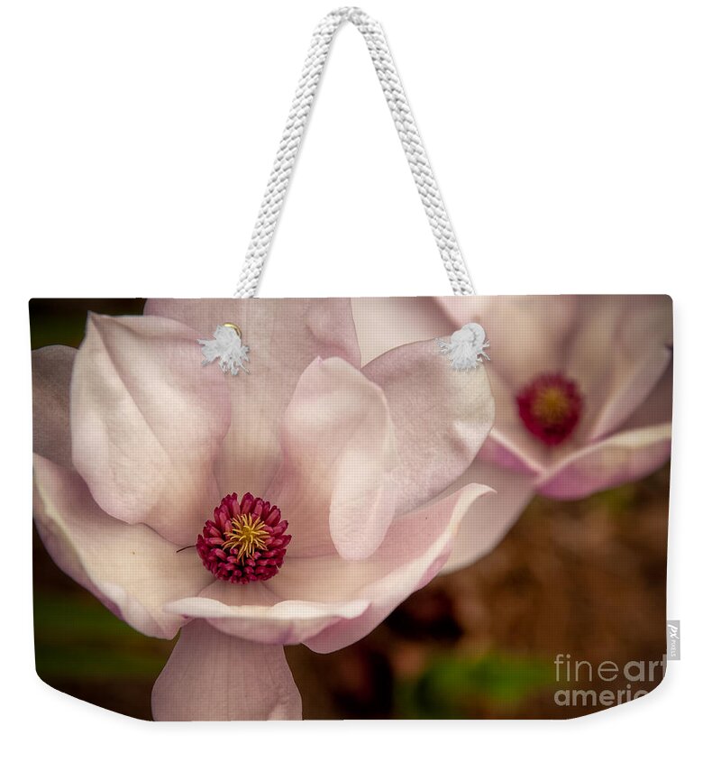 Nola Weekender Tote Bag featuring the photograph Japanese Magnolia by Kathleen K Parker