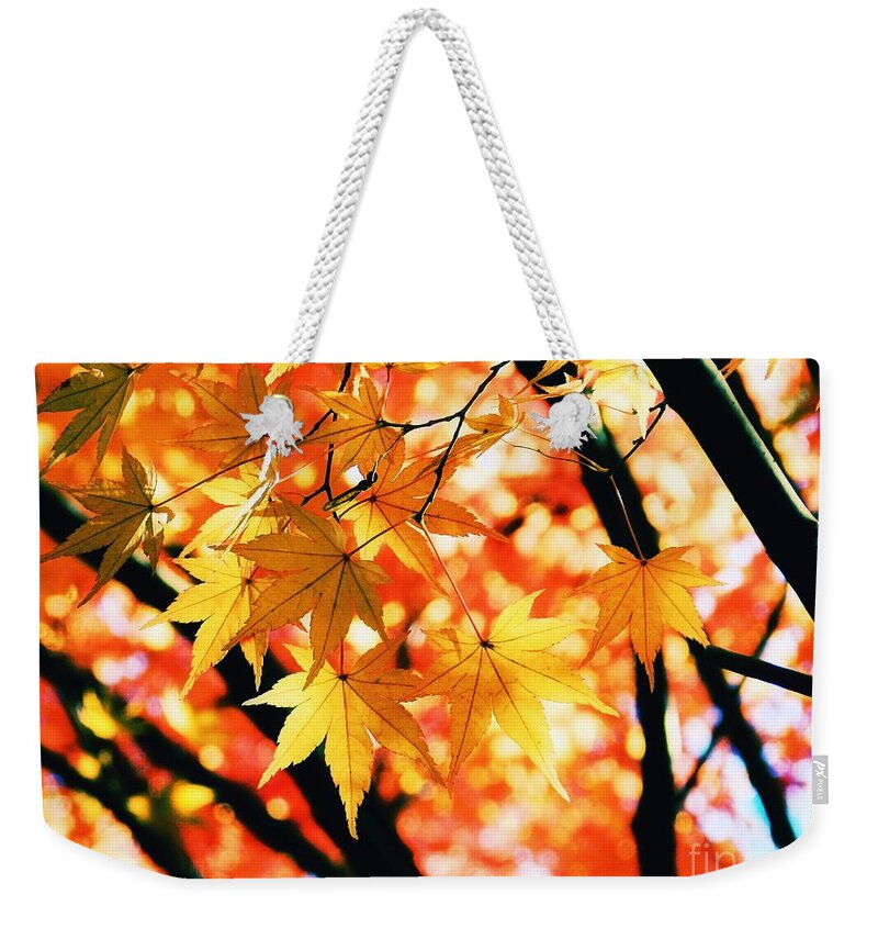 Japanese Weekender Tote Bag featuring the photograph Japanese Maple Leaves by Sharon Woerner