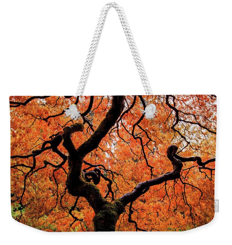 Tranquility Weekender Tote Bag featuring the photograph Japanese Maple by Naphat Photography