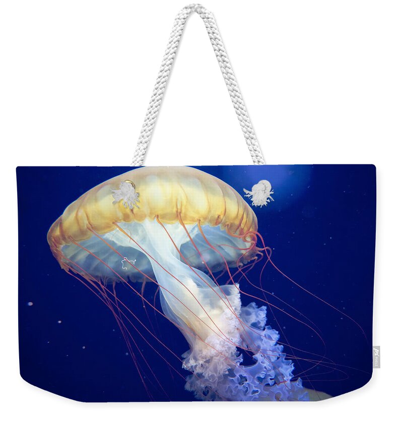 Japanese Sea Nettle Weekender Tote Bag featuring the photograph Japanese Sea Nettle Chrysaora Pacifica by Mary Lee Dereske