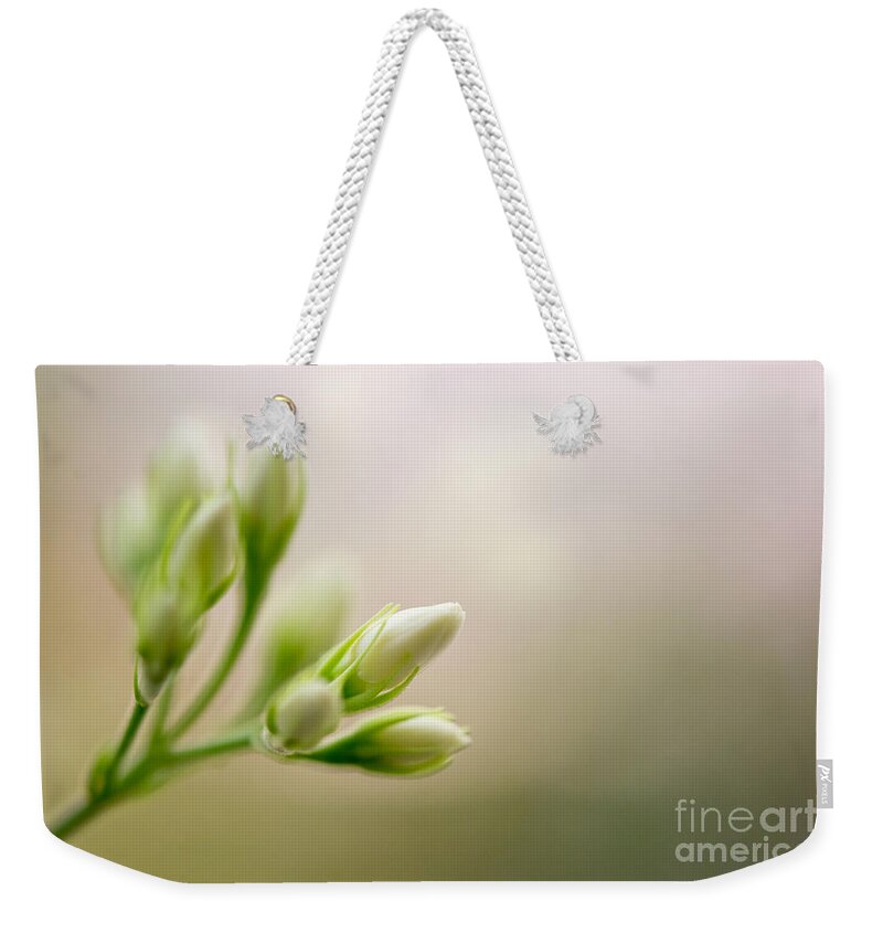 White Flower Photo Weekender Tote Bag featuring the Jasmine by Ivy Ho