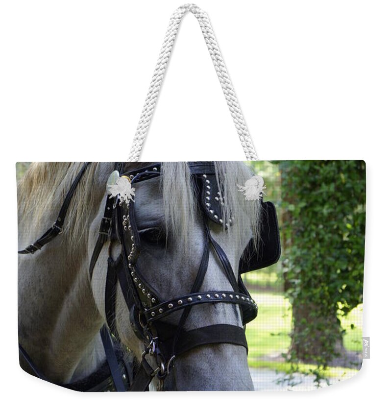 Horse And Buggy Weekender Tote Bag featuring the photograph Jekyll Horse by Laurie Perry